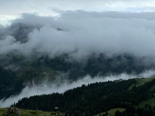 fog in the mountains