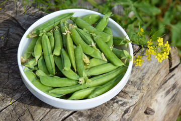 Green peas in a white plate on a wooden bench.