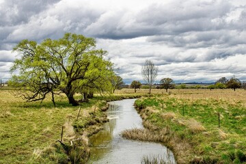 Fototapeta premium Beautiful shot of Furracabad Creek in Glen Innes in Australia on a cloudy day