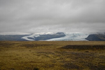Landscape view of the Iceland Moss with Glacier in the background