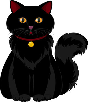 The cute black cat