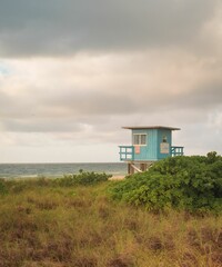 Lifeguard Station behind green plant by the sea in Bal Harbour, Miami Beach, Florida