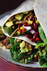 Burrito - typical Texas and Mexican cuisine wrap dish	