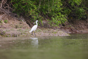 Danube Delta is a UNESCO World Heritage Site and one of the biggest inland deltas in the world. Tourists come here to learn more about its biodiversity