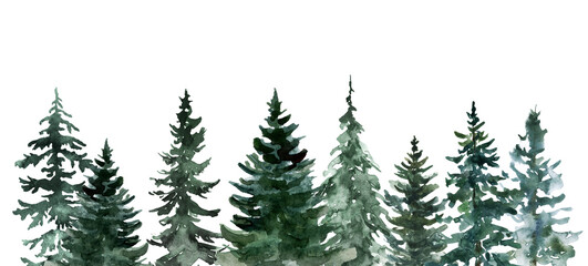 Watercolor evergreen forest background. Nature landscape graphic. Pine trees border.