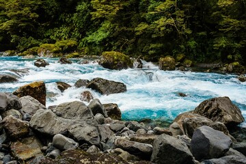 Flowing Chasm river surrounded by trees and moss covered rocks