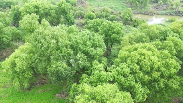 Aerial shot of a lake among wild nature, mountains and forests and reflection of a coudy sky in it
