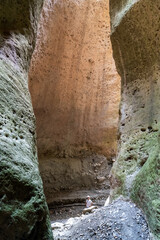 Beautiful curved crevice in canyon in sunny weather. Wide angle view of amazing sandstone formations in Karadakh gorge in mountains of Dagestan, Russia.
