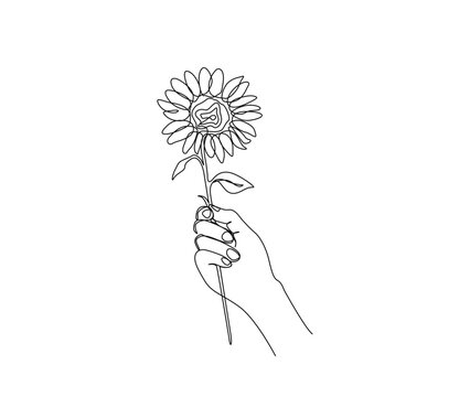 Continuous line drawing of hand holding sunflower. sunflower simple line art with active stroke.  Florist concept.