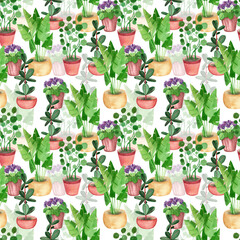 Seamless pattern of indoor plants: ficus, palm, violet, potted money tree hand-painted in watercolor on a white background. Suitable for printing on fabric, design, scrapbooking, books