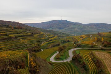 Aerial view of an asphalt road surrounded by green valleys and meadows in a rural area