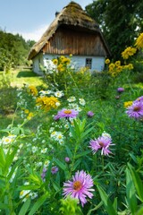 Scenic view of colorful flowers growing near an old residential house in the background