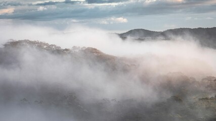 Aerial view of dense foggy forests under blue cloudy sky in Australia