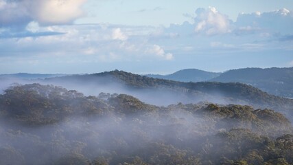 Aerial view of lush green foggy forests under white clouds in Australia