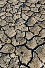 Vertical of dry soil in drought.