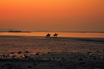 Beautiful calm orange sunset over the coastline with horse riders