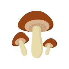 Mushroom icon on transparent background.