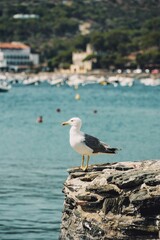 Vertical shot of a white seagull perched on a rock over a sunny seashore