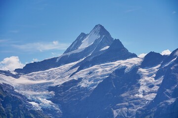 Fototapeta na wymiar Beautiful Schreckhorn mountain in the Bernese Alps covered in snow against a blue sky