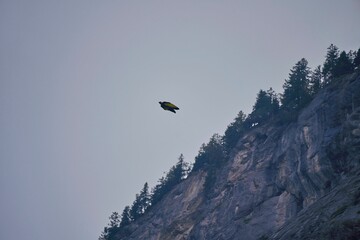 Low-angle shot of a man falling from a big cliff in a wingsuit under a clear blue sky