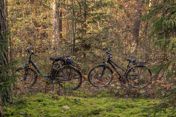 Fototapeta na wymiar Mit den Fahrrad im Wald am Nachmittag, wir suchen nach Pilzen 