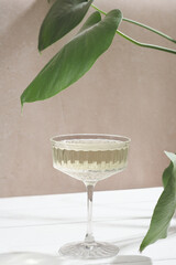 a glass of champagne on a table next to a large leaf plant, vertical. alcohol drinks for party, holiday celebration