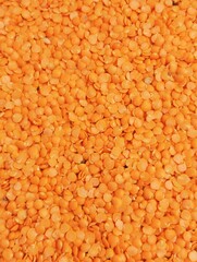Split red lentils masoor daal dahl legume pulse dahal organic raw natural food dry daal-e-masoor masur ki dal source of protein heap pile closeup view image stock photo 