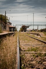 Fototapeta na wymiar Vertical shot of the train stration