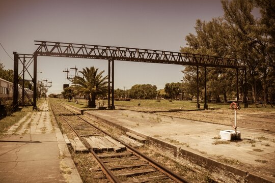Train stration surrounded by trees