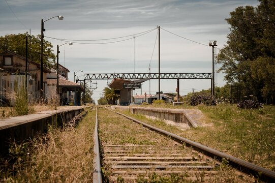 Train stration surrounded by trees