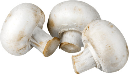 Three Champignons Mushrooms - Isolated