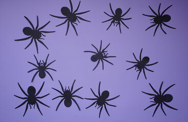 Black flat paper spiders on a violet background. Halloween autumn holiday background with decorative black spiders. Copy space, top view, flat lay. Festive crafts, Scary Background