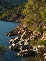 coast of the sea