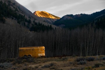 Bus in front of a forest with high mountains in the background