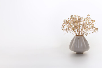 Branches of dried gypsophila flowers in a white ceramic vase on a white background. eco home...