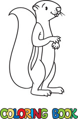 Funny xerus or squirrel. Kids vector coloring book