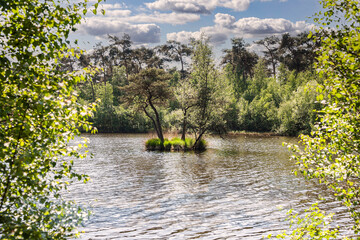 Tiny island with trees situated in a small lake