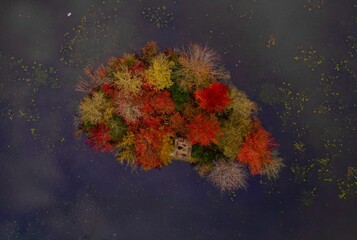 Fototapeta premium Aerial view of an autumnal islet in the middle of a lake