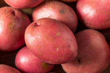 Raw Red Organic Potatoes