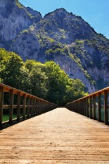Vertical shot of a wooden footbridge of the Valdemurio reservoir, Spain