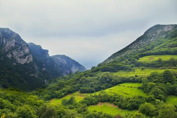 Scenic shot of green mountainous landscape and gloomy overcast sky