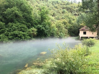 Scenic view of a river flowing in a forest surrounded by wild green nature next to a house