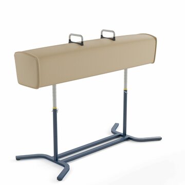 3D render of a gymnastics pommel horse bench isolated on a white background