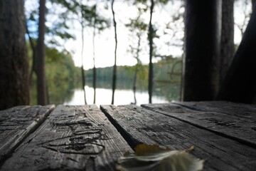 Selective focus of an autumn leaf on a wooden table on a shore of a lake in a forest