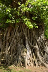 Papier Peint photo Monument historique Stone Buddha head entwined in tree roots, an iconic image of Wat Mahathat, Ayutthaya Historical Park