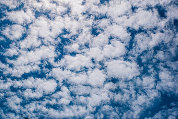 Blue sky with cirrocumulus and altocumulus clouds. - obrazy, fototapety, plakaty