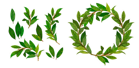 Watercolor set bay leaf wreath isolated on white background. Hand drawn illustration for sports achievements, awards, victories and success.Template for wedding invitation and save the date cards.