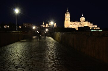 Fototapeta na wymiar Puente romano de Salamanca por la noche con la catedral, museo Casa Lis, la catedral vieja y la iglesia barroca de la clerecia iluminadas