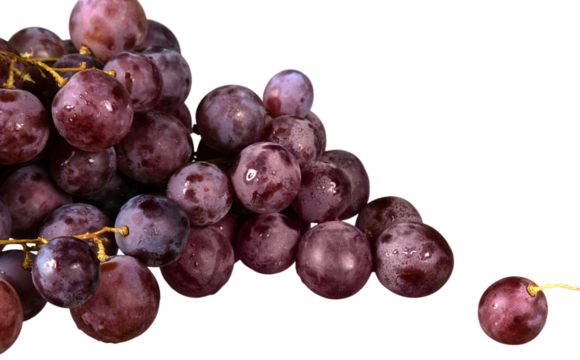 Purple Grape Cluster Close-up - Isolated