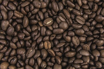 roasted coffee beans background